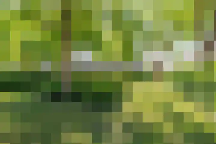 Valkenkamp 104 Maarssen thumbnail 34
