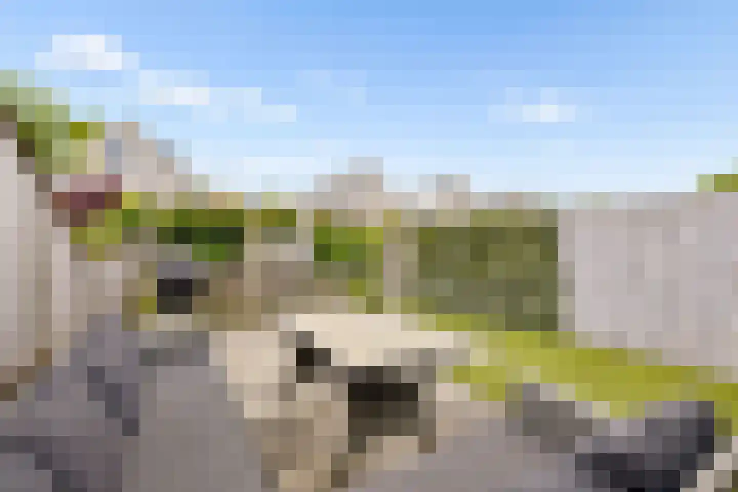 Valkenkamp 137 Maarssen thumbnail 12