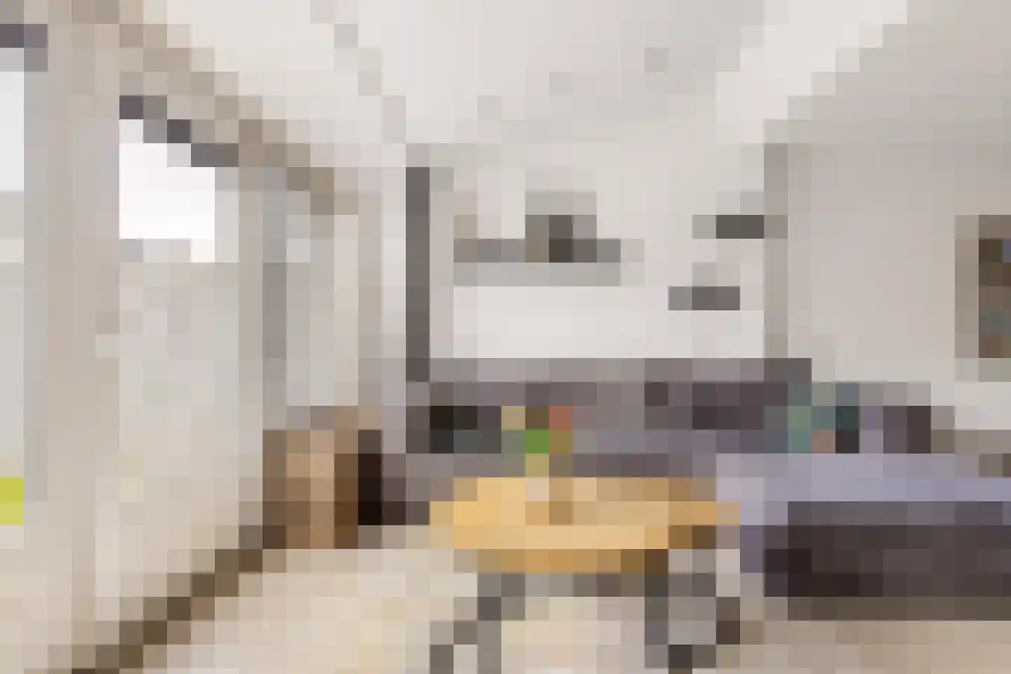 Valkenkamp 137 Maarssen thumbnail 9