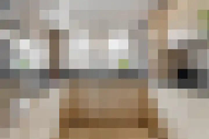 Valkenkamp 255 Maarssen thumbnail 10