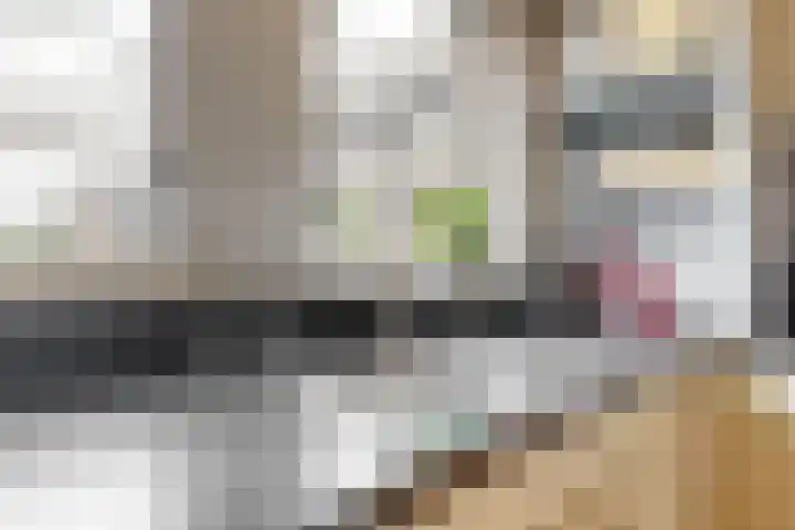 Valkenkamp 255 Maarssen thumbnail 11