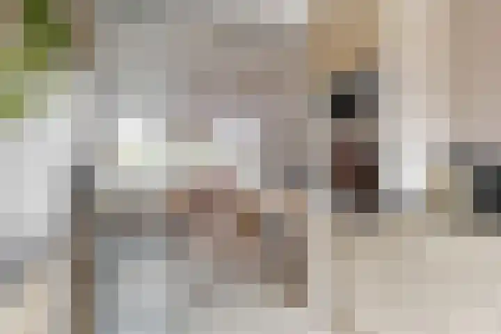 Valkenkamp 255 Maarssen thumbnail 12