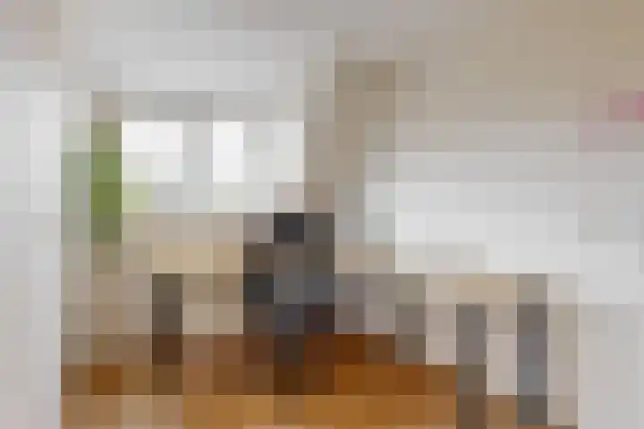Valkenkamp 255 Maarssen thumbnail 16