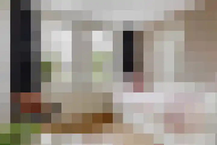 Valkenkamp 255 Maarssen thumbnail 17