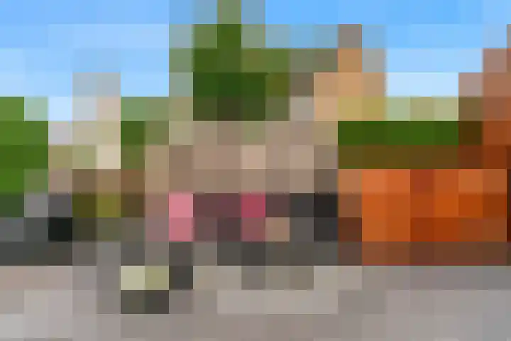 Valkenkamp 255 Maarssen thumbnail 25