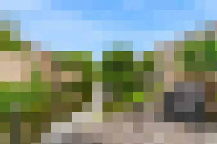Valkenkamp 255 Maarssen thumbnail 29