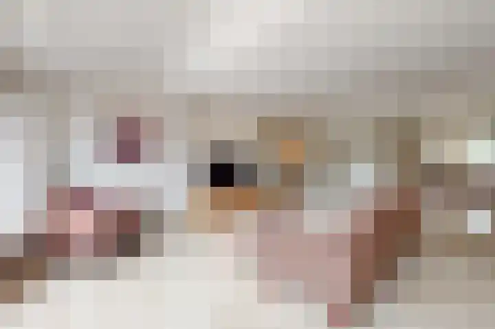 Valkenkamp 255 Maarssen thumbnail 7