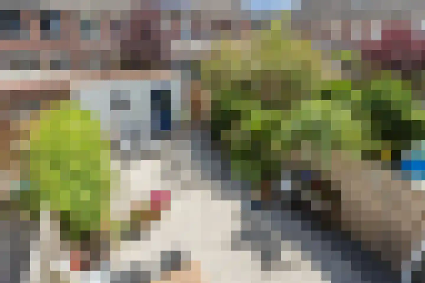 Valkenkamp 279 Maarssen thumbnail 49