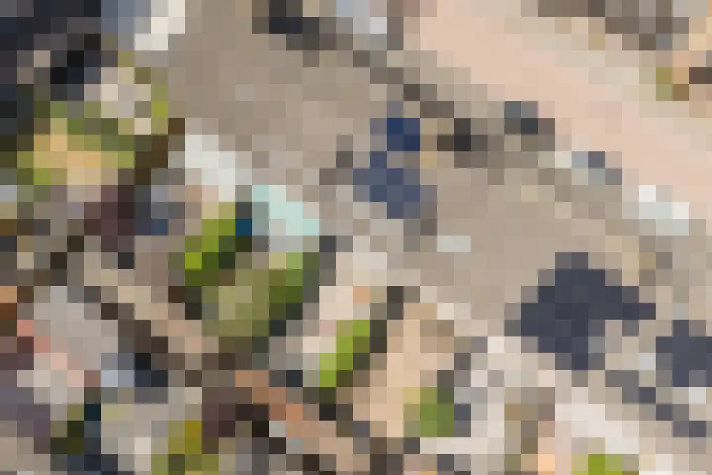 Valkenkamp 279 Maarssen thumbnail 60