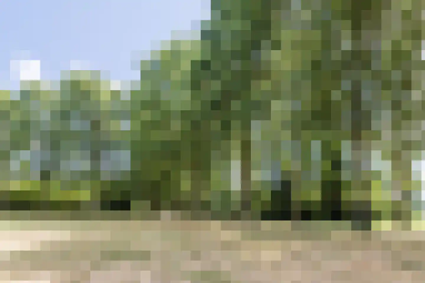 Valkenkamp 279 Maarssen thumbnail 71