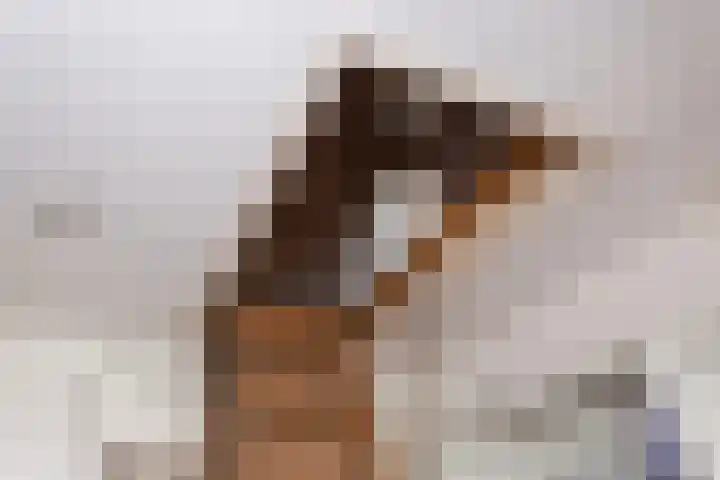 Valkenkamp 289 Maarssen thumbnail 31