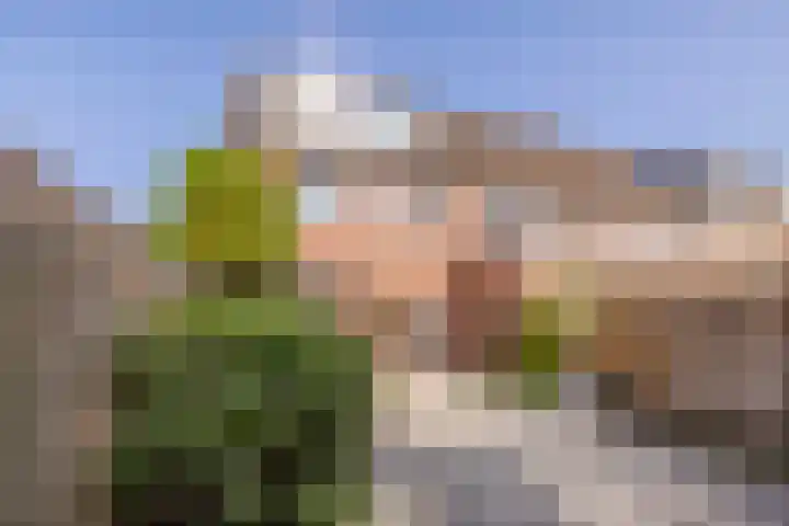 Valkenkamp 308 Maarssen thumbnail 16