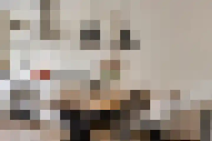 Valkenkamp 316 Maarssen thumbnail 10