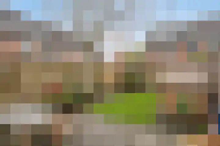 Valkenkamp 316 Maarssen thumbnail 29