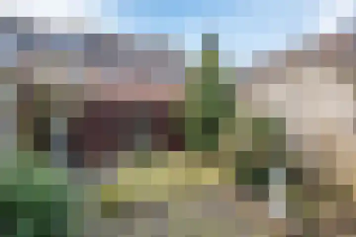 Valkenkamp 324 Maarssen thumbnail 14