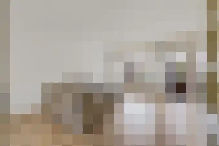 Valkenkamp 324 Maarssen thumbnail 4