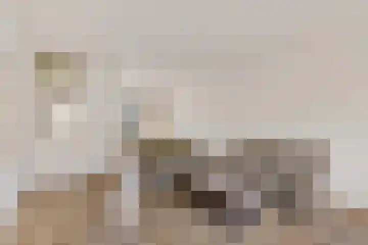Valkenkamp 324 Maarssen thumbnail 6