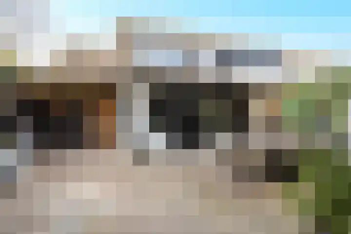 Valkenkamp 344 Maarssen thumbnail 37