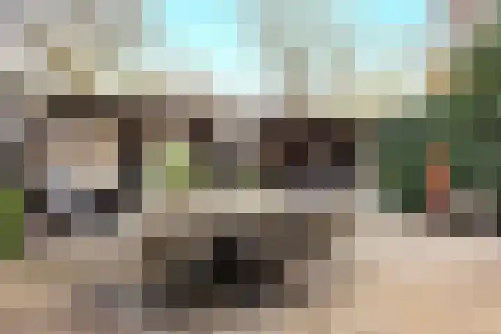 Valkenkamp 344 Maarssen thumbnail 39