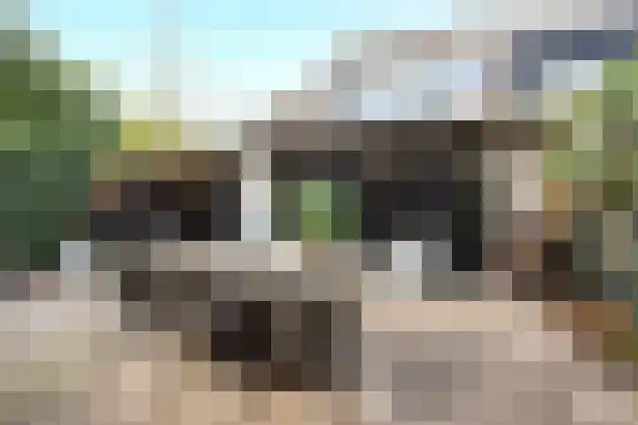 Valkenkamp 344 Maarssen thumbnail 40