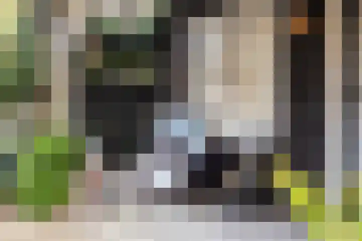 Valkenkamp 344 Maarssen thumbnail 42