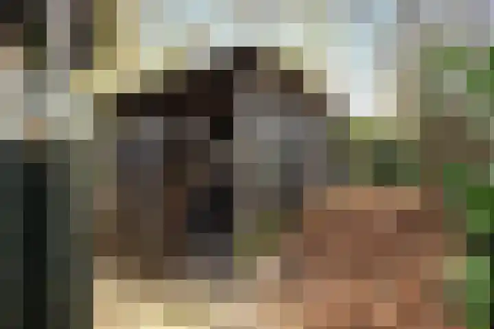 Valkenkamp 344 Maarssen thumbnail 48