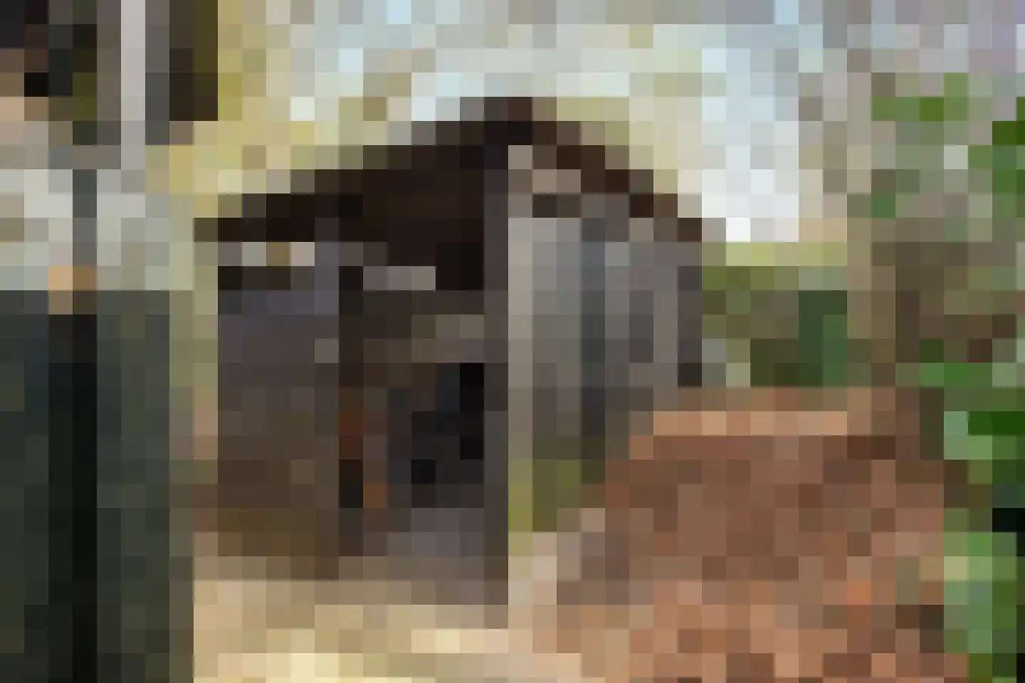 Valkenkamp 344 Maarssen thumbnail 48