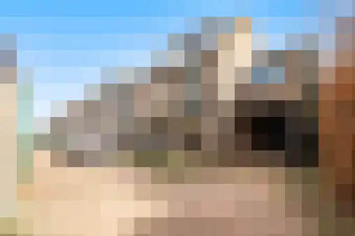 Valkenkamp 344 Maarssen thumbnail 50
