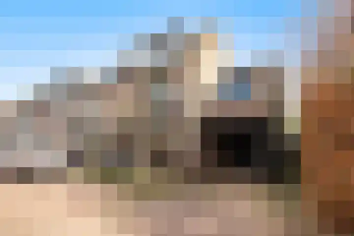 Valkenkamp 344 Maarssen thumbnail 51