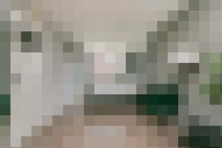 Valkenkamp 411 Maarssen thumbnail 14
