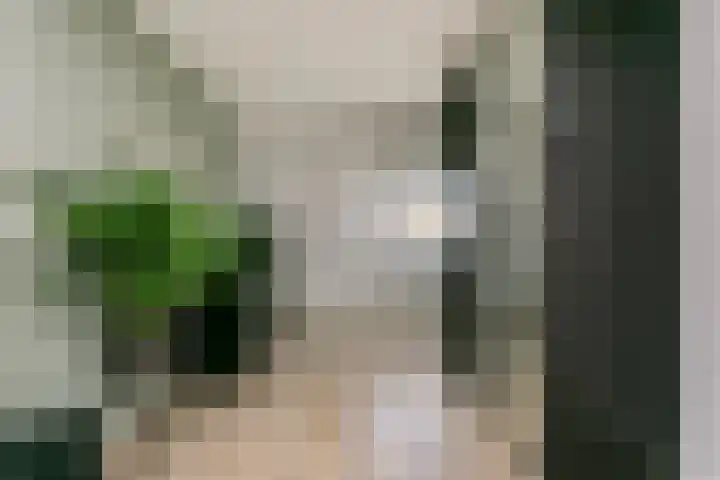 Valkenkamp 411 Maarssen thumbnail 16