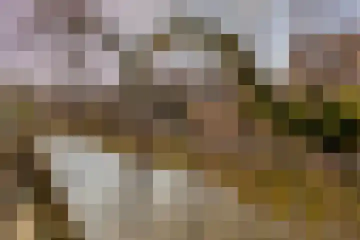 Valkenkamp 411 Maarssen thumbnail 28
