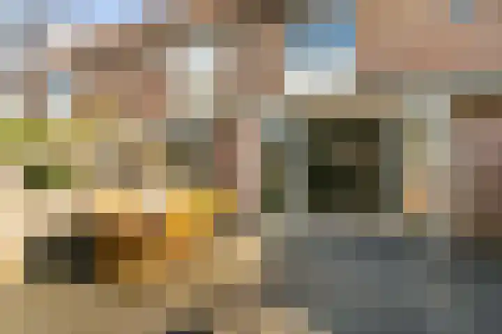 Valkenkamp 503 Maarssen thumbnail 32