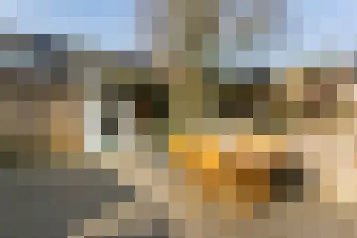 Valkenkamp 503 Maarssen thumbnail 33