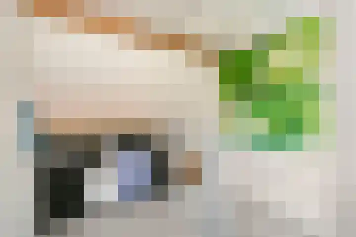 Valkenkamp 509 Maarssen thumbnail 24