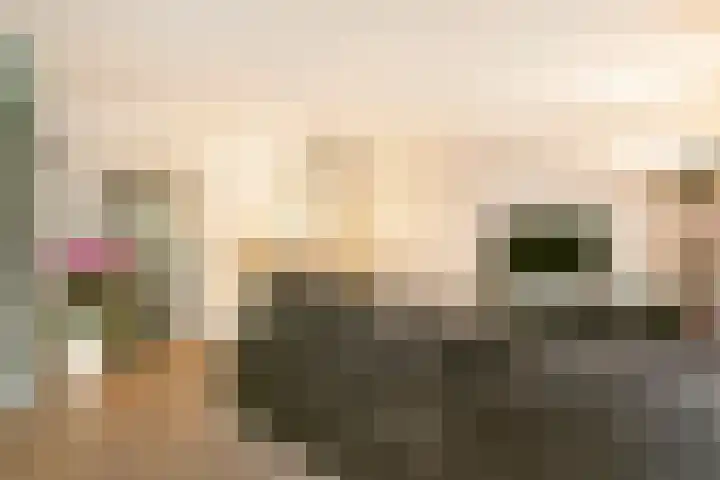 Valkenkamp 509 Maarssen thumbnail 9