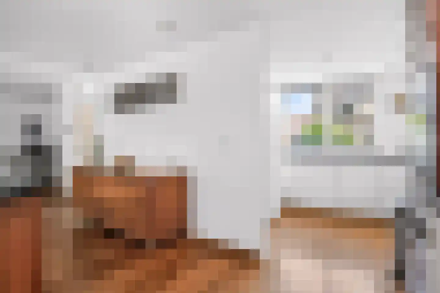 Valkenkamp 635 Maarssen thumbnail 14
