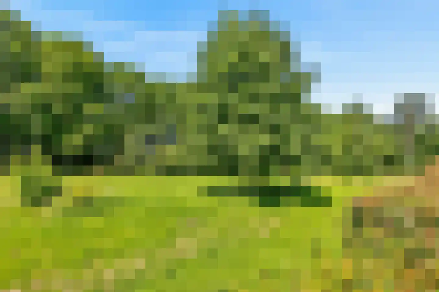 Valkenkamp 635 Maarssen thumbnail 51