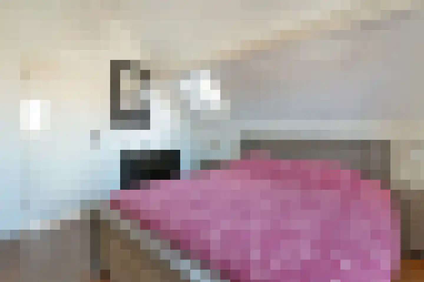 Valkenkamp 658 Maarssen thumbnail 43