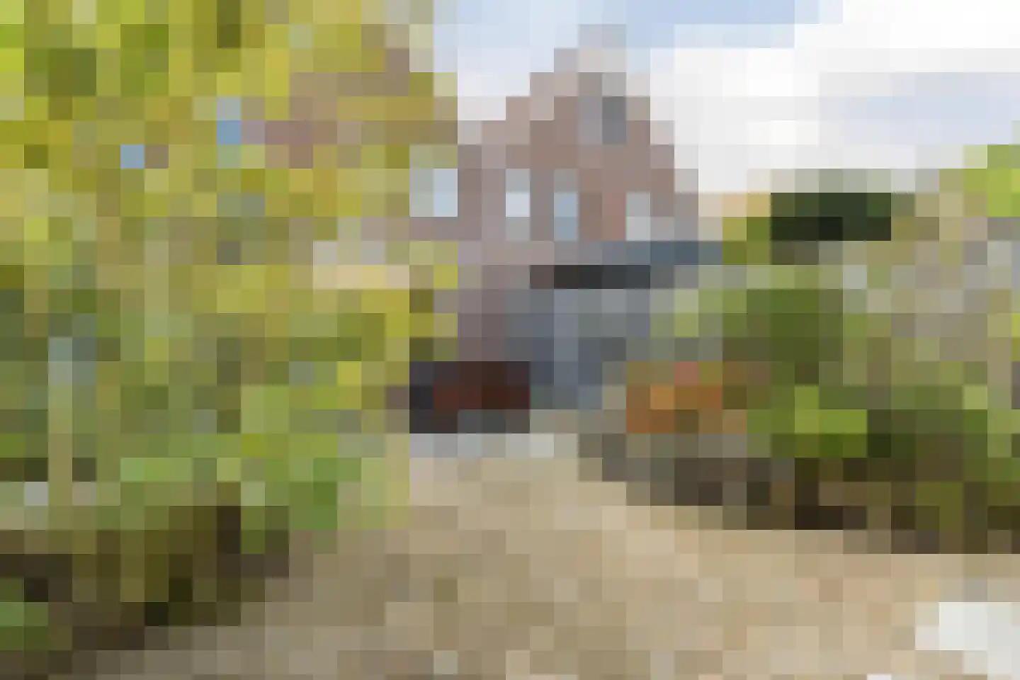 Valkenkamp 658 Maarssen thumbnail 49