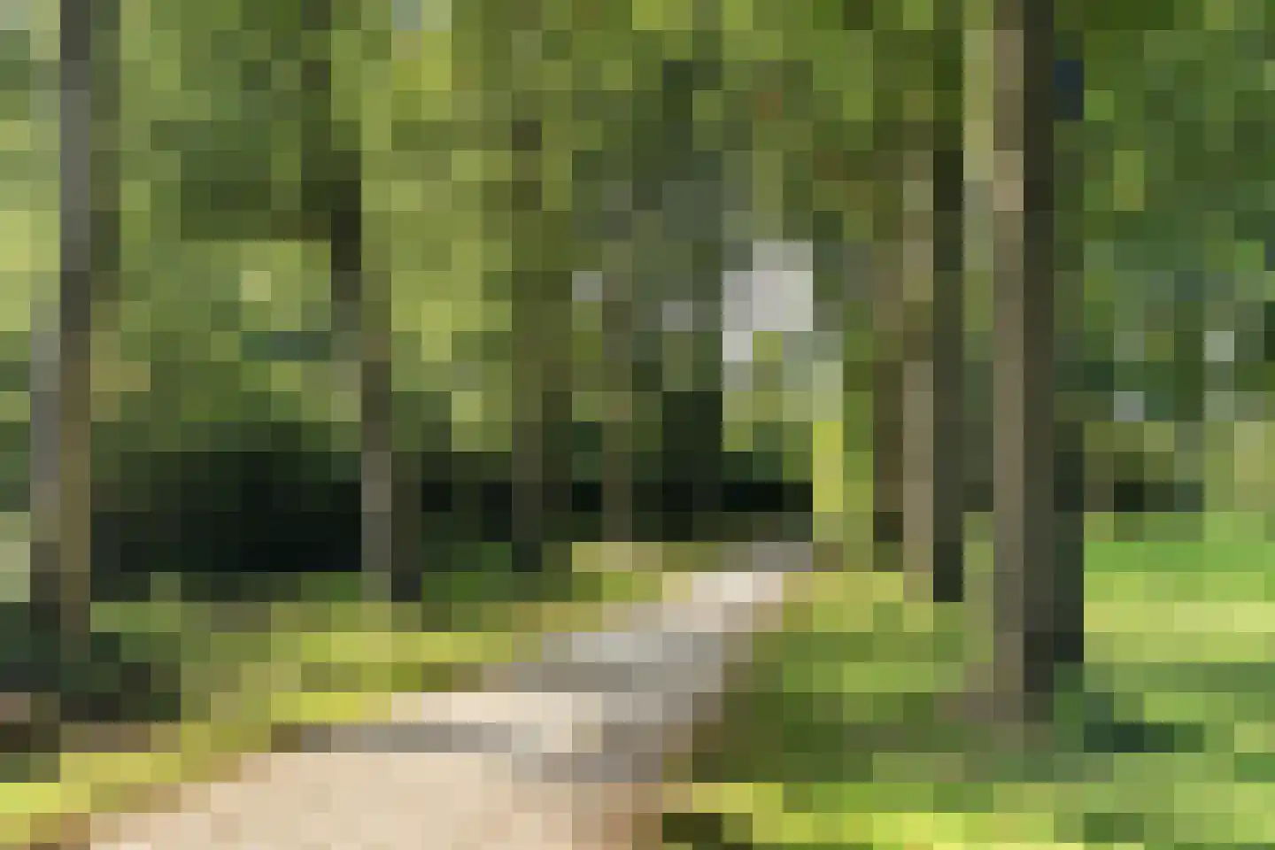 Valkenkamp 658 Maarssen thumbnail 55