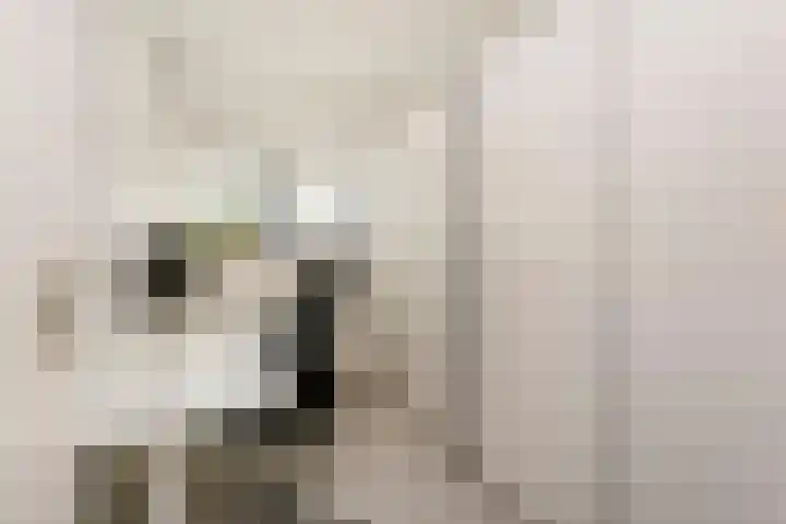 Valkenkamp 690 Maarssen thumbnail 20