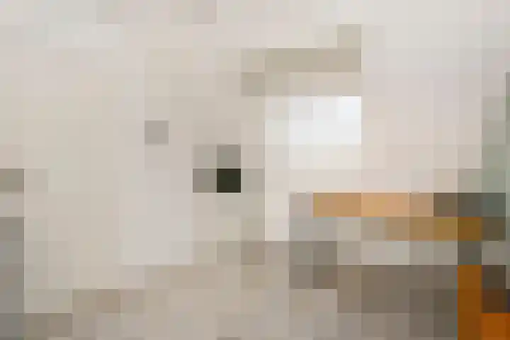 Valkenkamp 690 Maarssen thumbnail 26