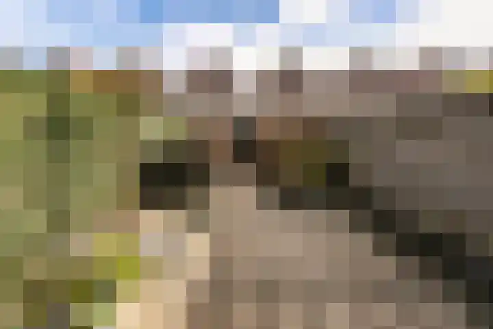 Valkenkamp 690 Maarssen thumbnail 27