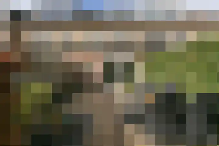 Valkenkamp 690 Maarssen thumbnail 30