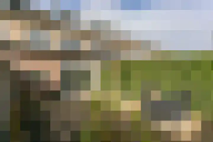 Valkenkamp 690 Maarssen thumbnail 31