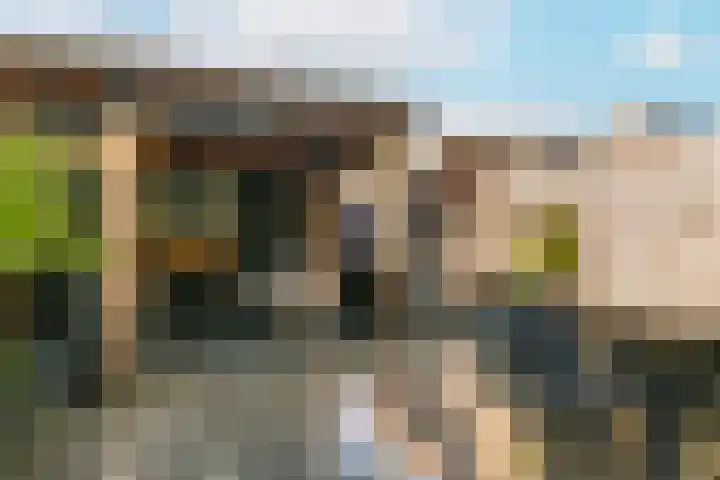Valkenkamp 700 Maarssen thumbnail 13