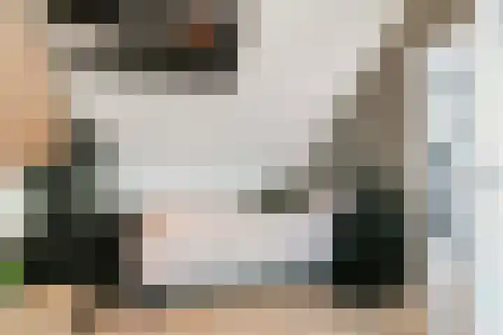 Valkenkamp 700 Maarssen thumbnail 22
