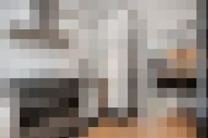 Valkenkamp 702 Maarssen thumbnail 12