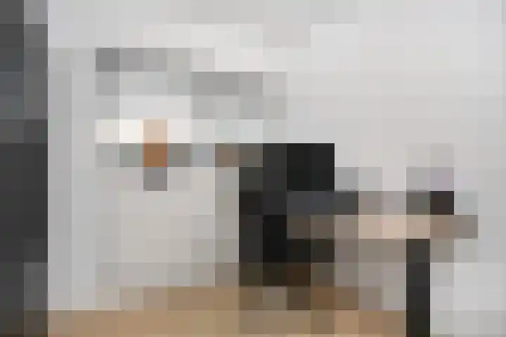 Valkenkamp 702 Maarssen thumbnail 18